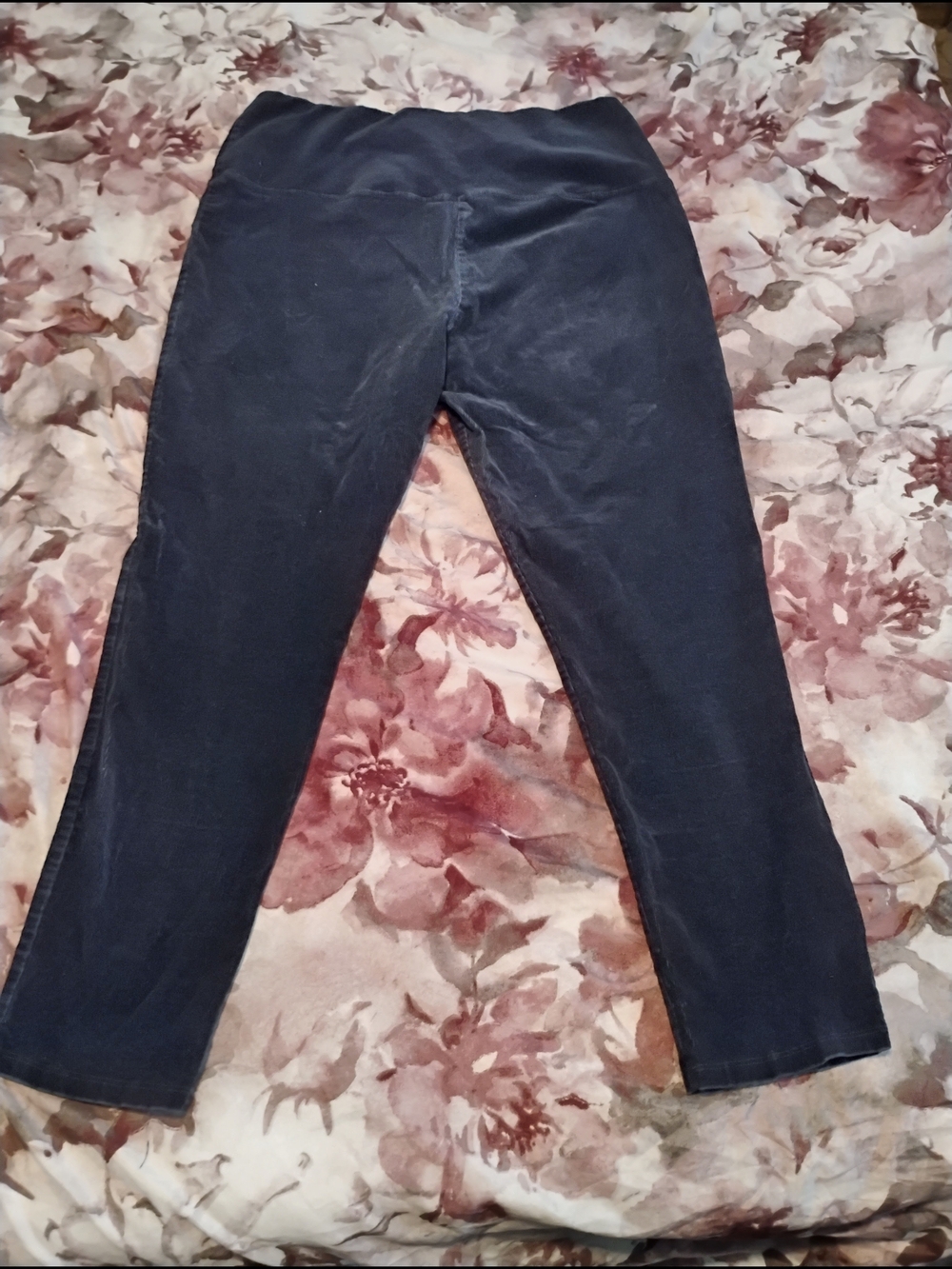 Womens Athena Marie Black Velvet Pants Size XL